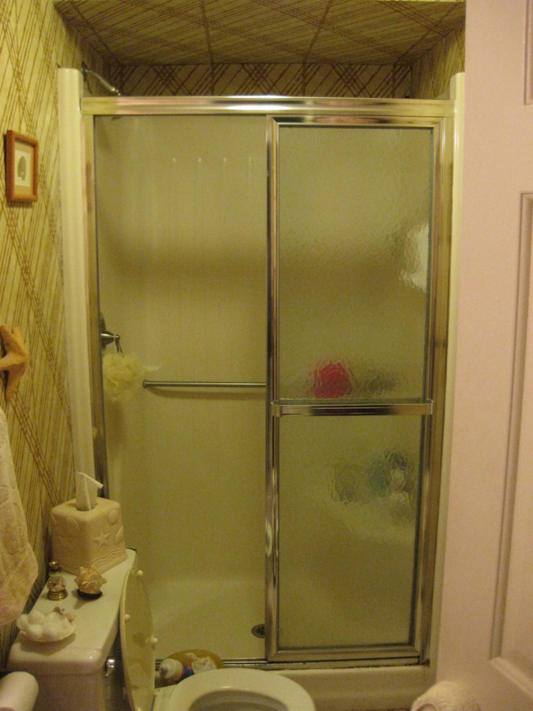 Shower Remodel Before